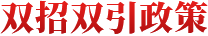 双招双引政策